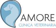  Amore Clinica Veterinaria logo